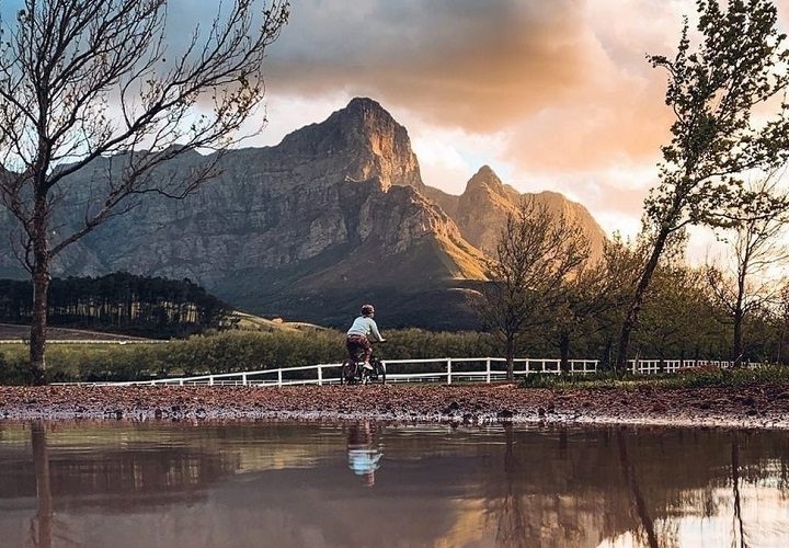 Reasons to add South Africa to your travel bucket list right away